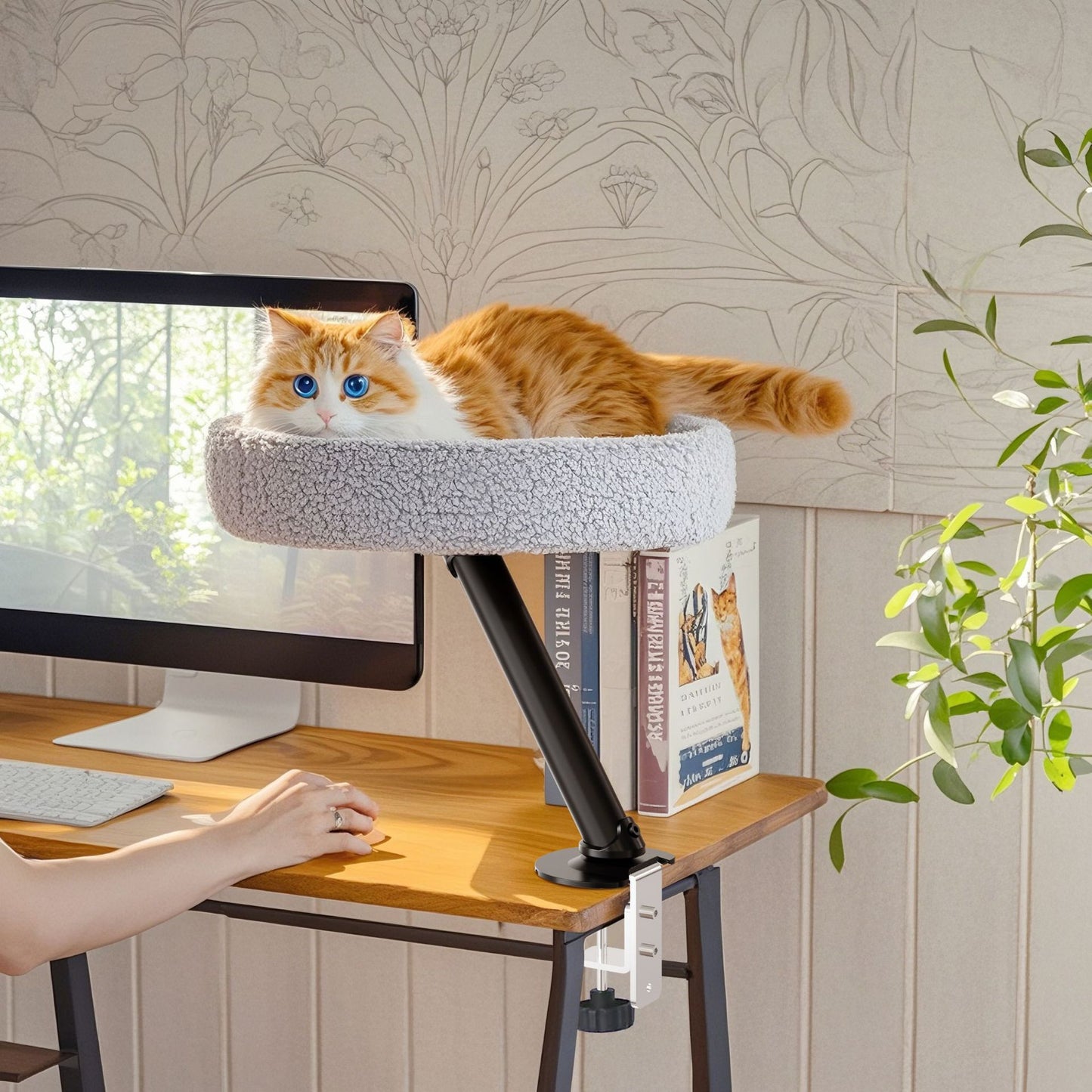 Floating cat bed on the tabletop - cat climbing frame