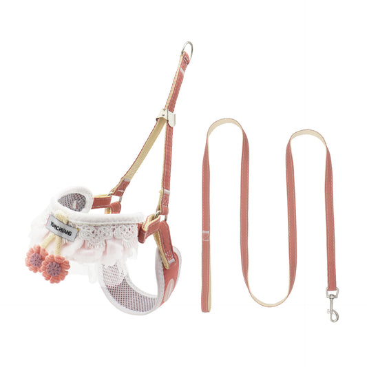Dog leash for small dogs