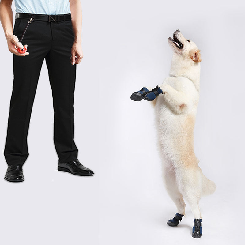 Dog Training Clicker ? Obedience Whistle & Command Trainer
