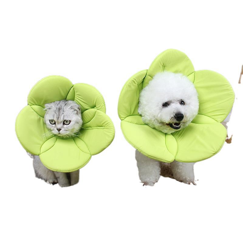 Pet Protective Cover