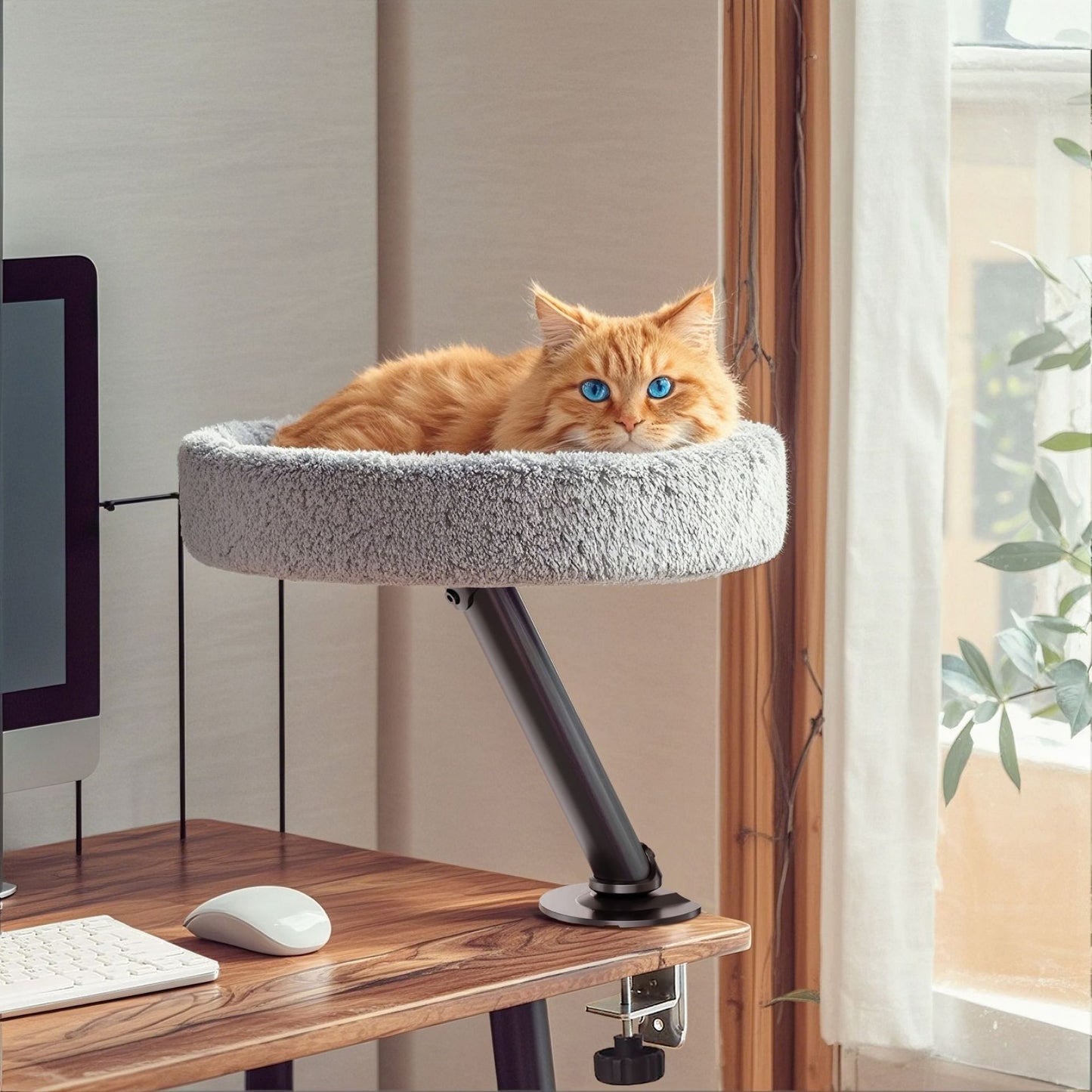 Floating cat bed on the tabletop - cat climbing frame