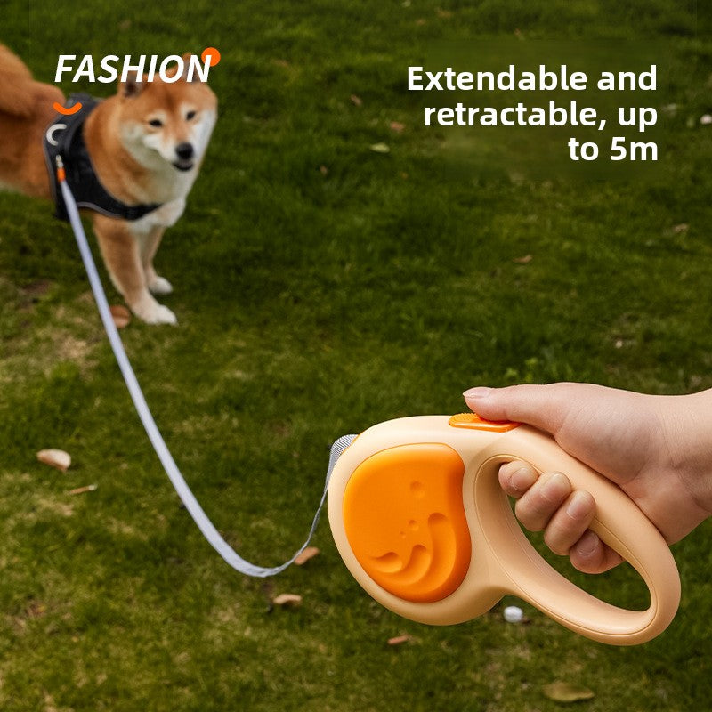 Pet leash