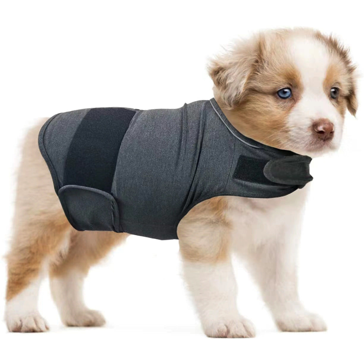 Pet Anxiety Relief Vest