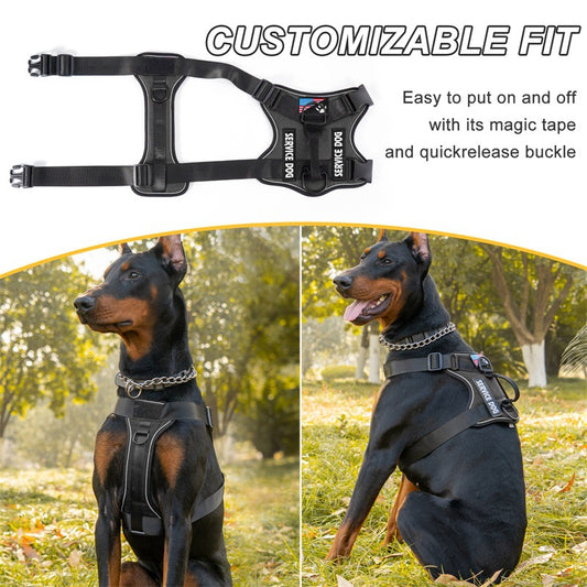 Pet harness leash