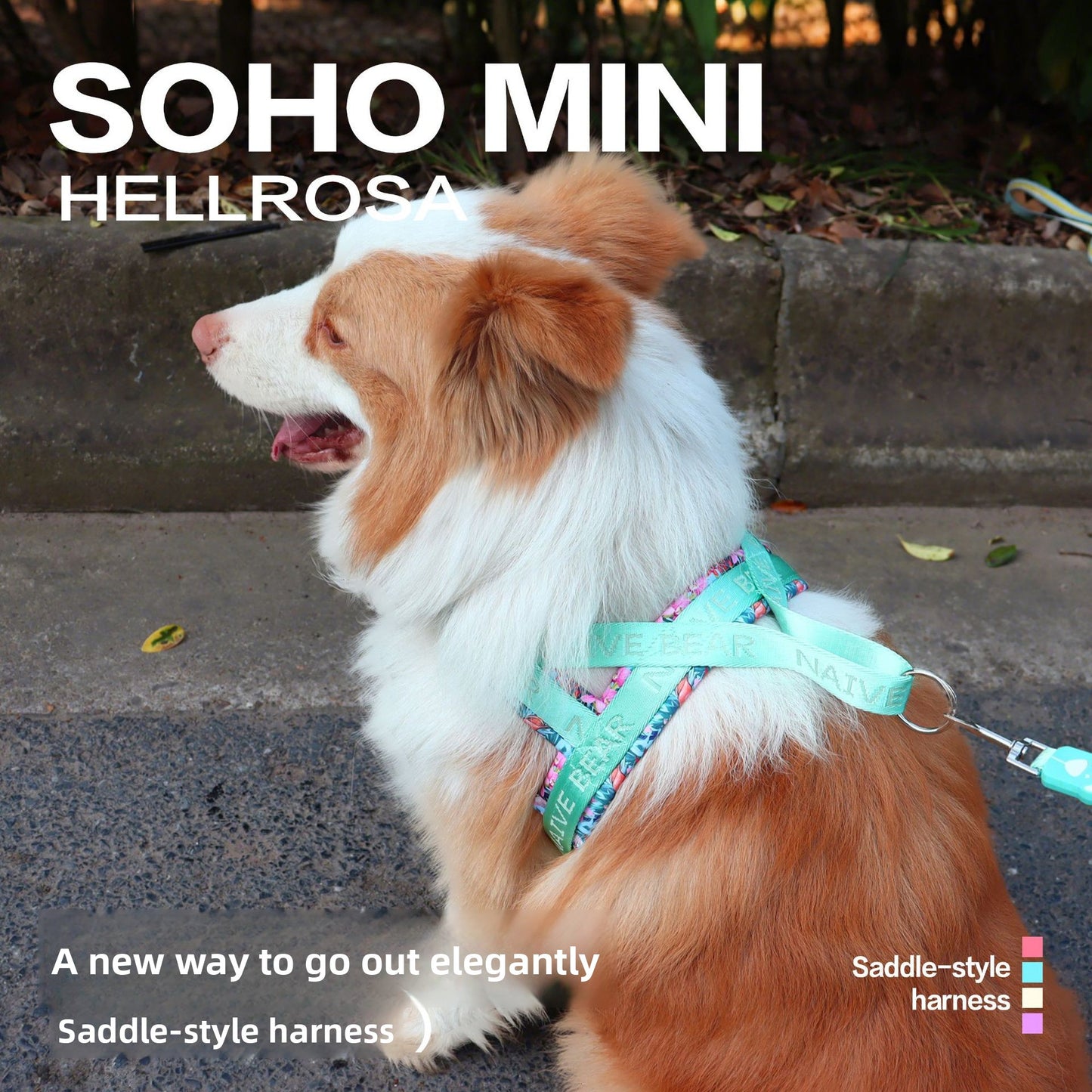 Pet dog harness
