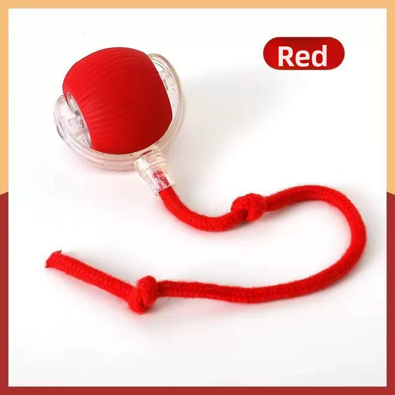 Dog Toy Automatic Walking Ball