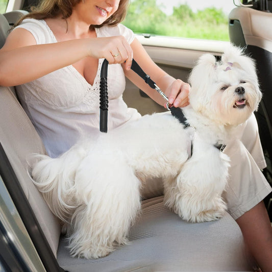 Pet Safety Belt