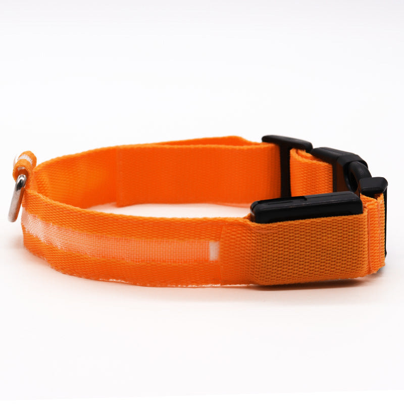 pet led collar