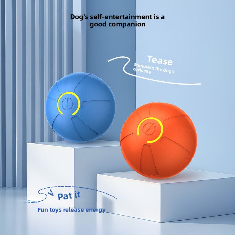 Electric Pet Toy