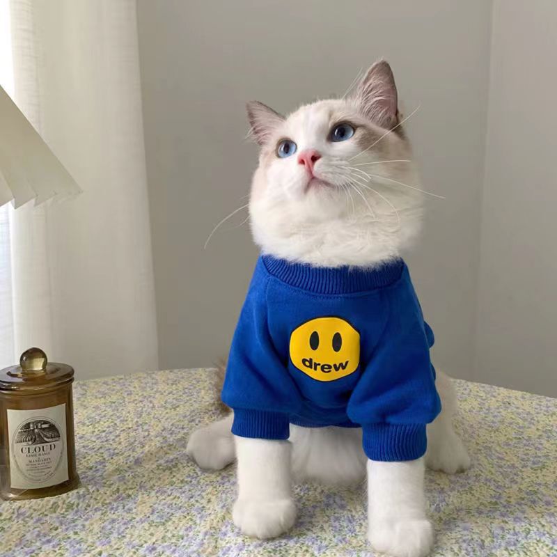 pet sweater