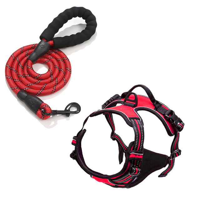 Pet Harness Leash