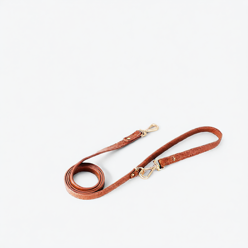 Leather Dog Harness and Leash Set