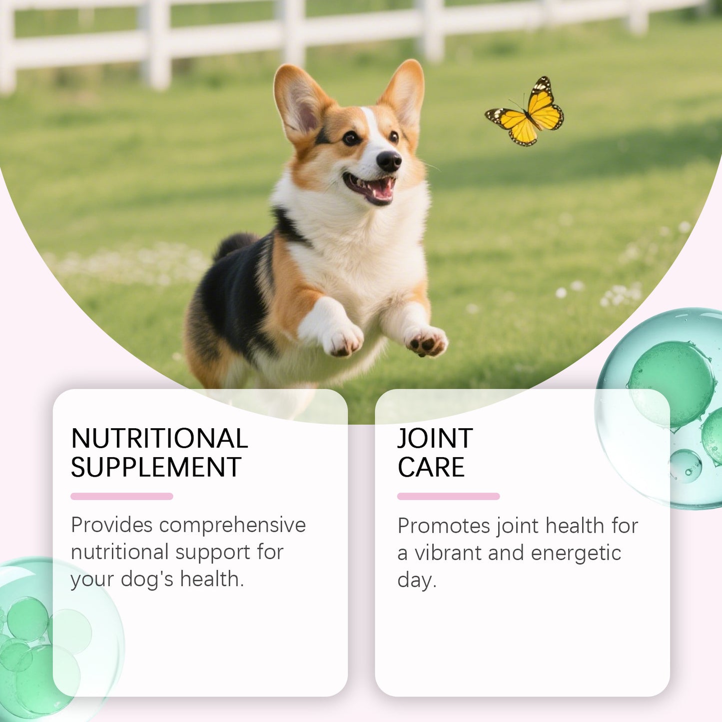 Dog Collagen Drops
