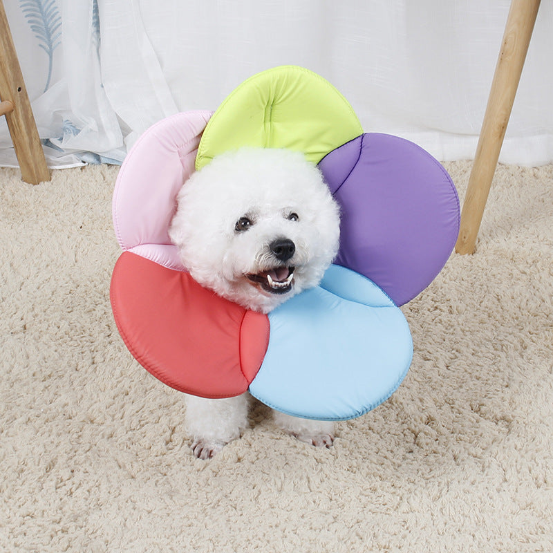 Pet Protective Cover