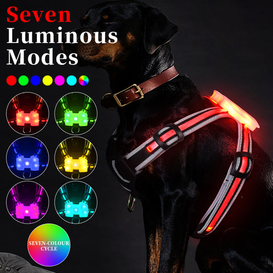 Luminous pet harness