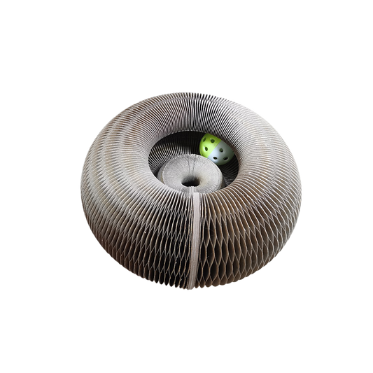 Magic Organ Cat Scratch Board with Bell