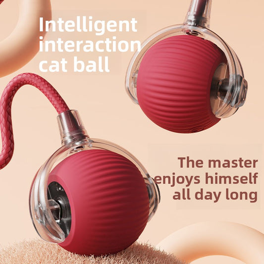 Bite-resistant Automatic Cat Toy