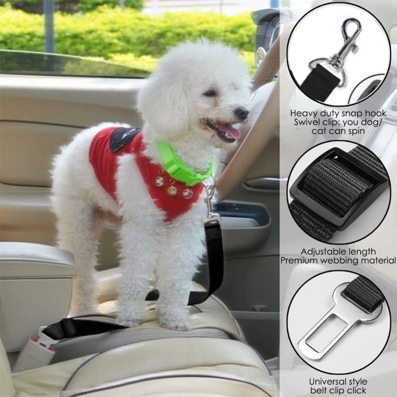 Pet safety belt