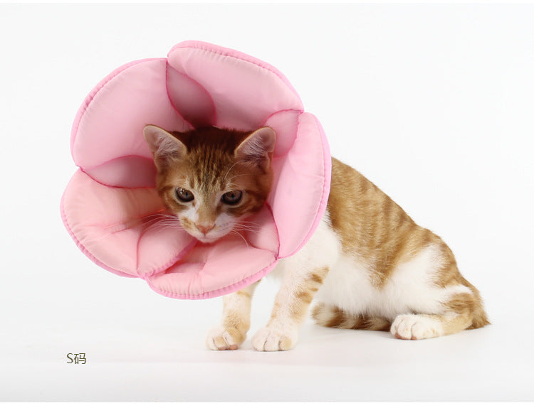 Pet Protective Cover