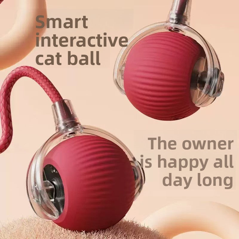 Dog Toy Automatic Walking Ball