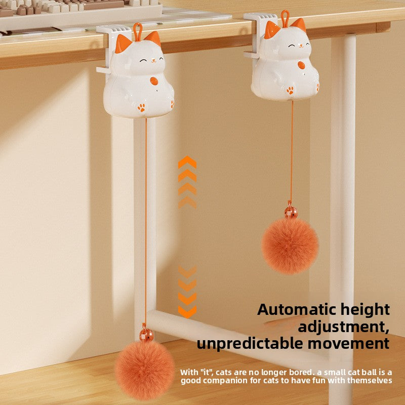 Automatic Pet Toy