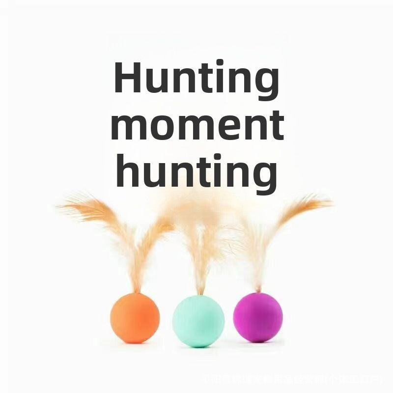 Cat toy ball, elastic ball