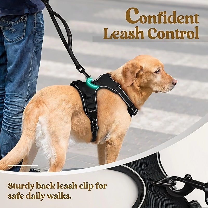 Adjustable Dog Leash and Chest Strap