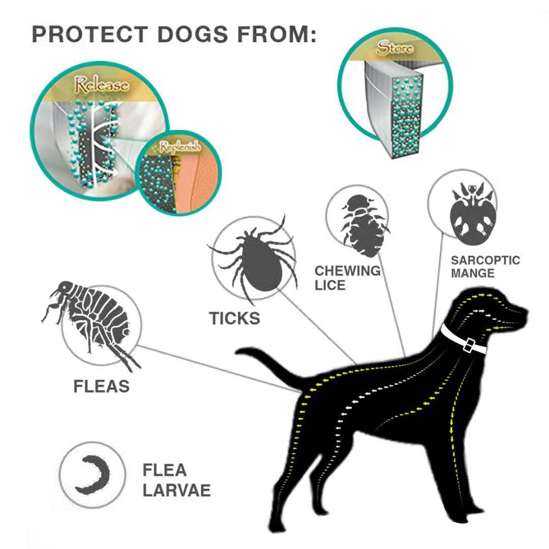 Insect Repellent Pet Collar
