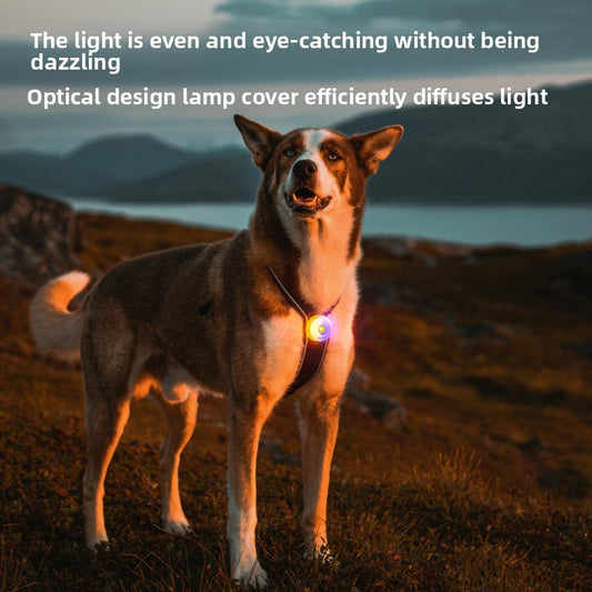 Pet Safety Light