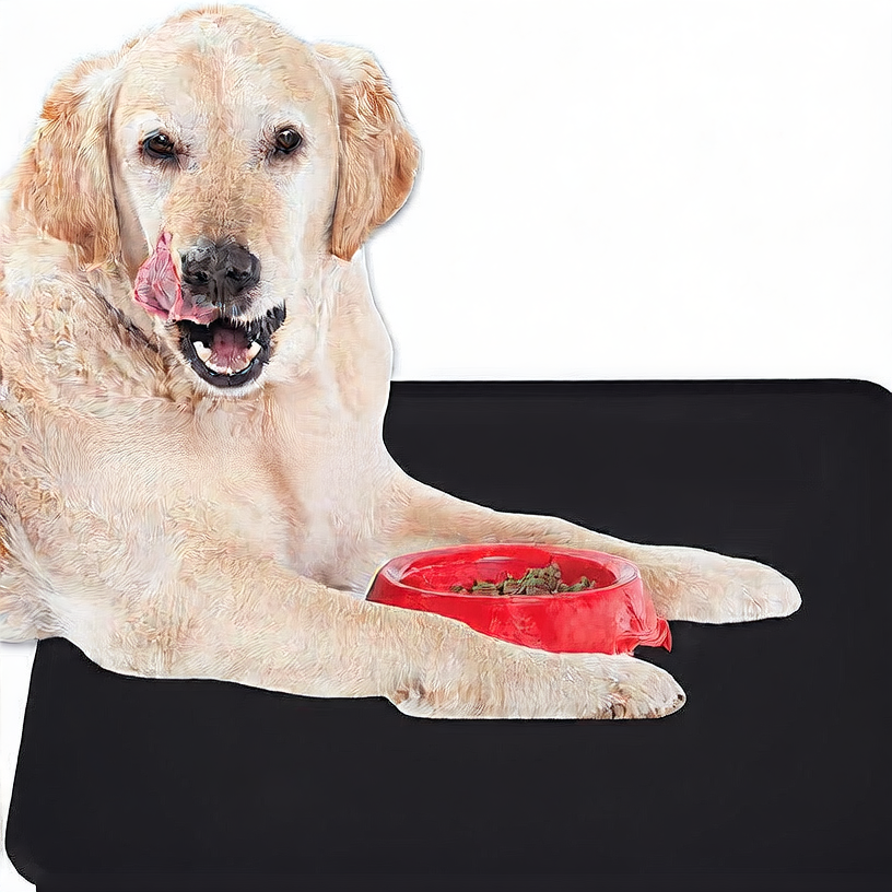 Silicone Pet Mat ? Waterproof, Anti-Slip, Easy-to-Clean for Cats and Dogs