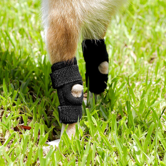 Leg protection sleeve