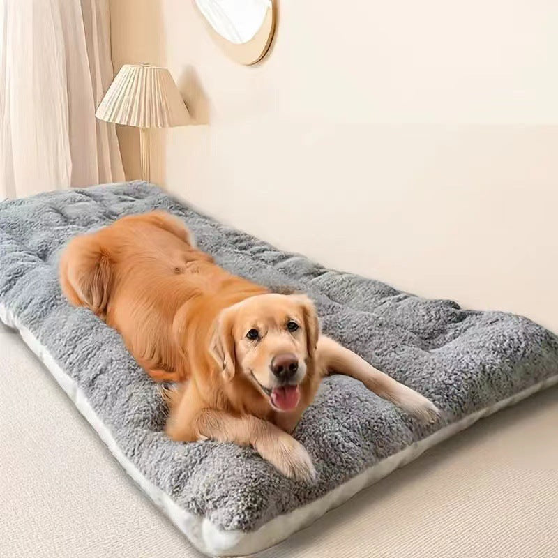 Dog bed and dog blanket with winter insulation