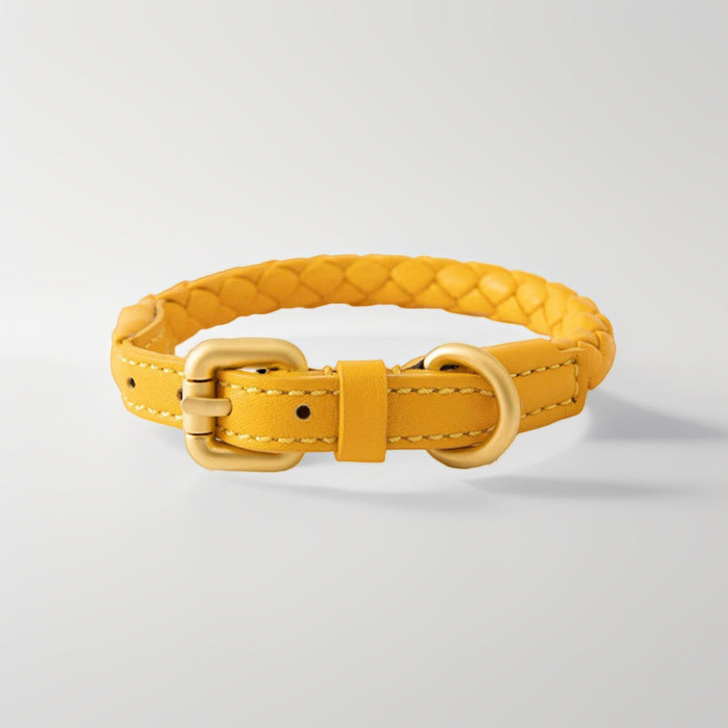 Woven Leather Dog Collar and Leash Set