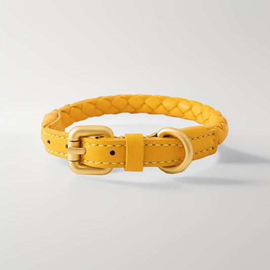 Woven Leather Dog Collar and Leash Set