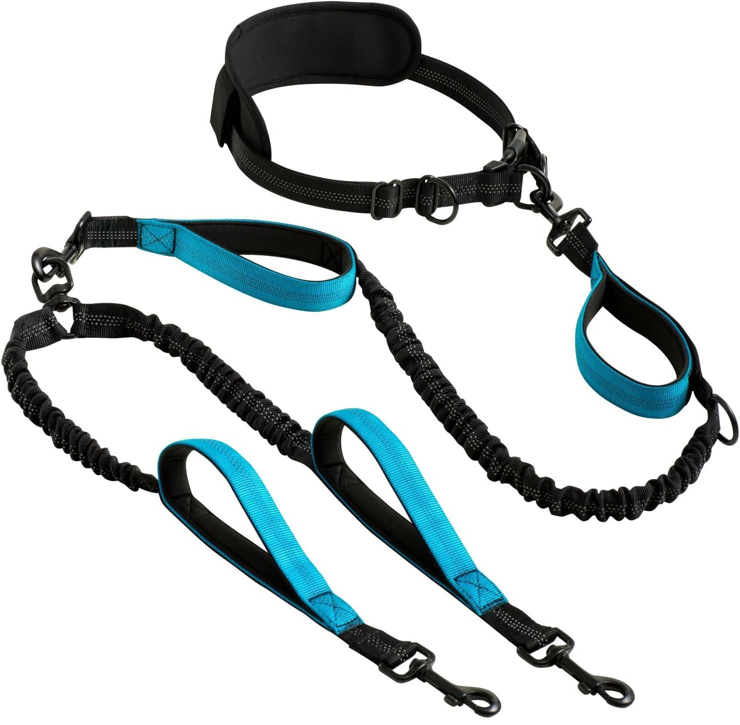 Dual Head Retractable Dog Leash