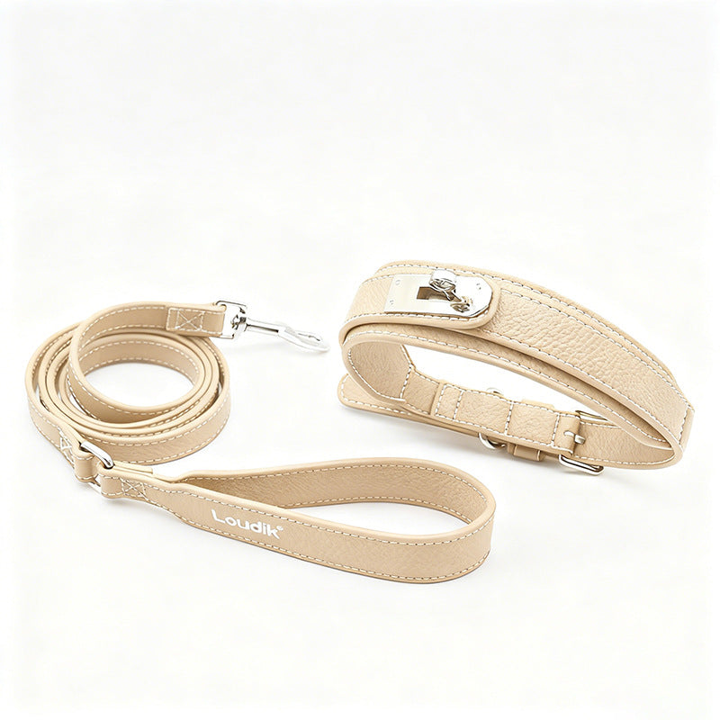 MOQ:200 Leather Dog Collar Leash with Waste Bag