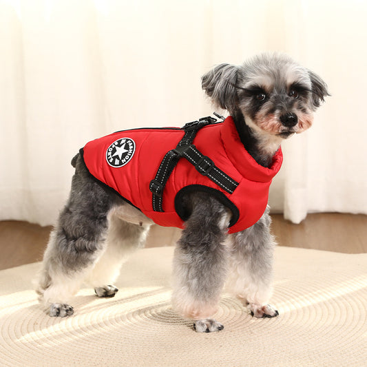pet dog jacket