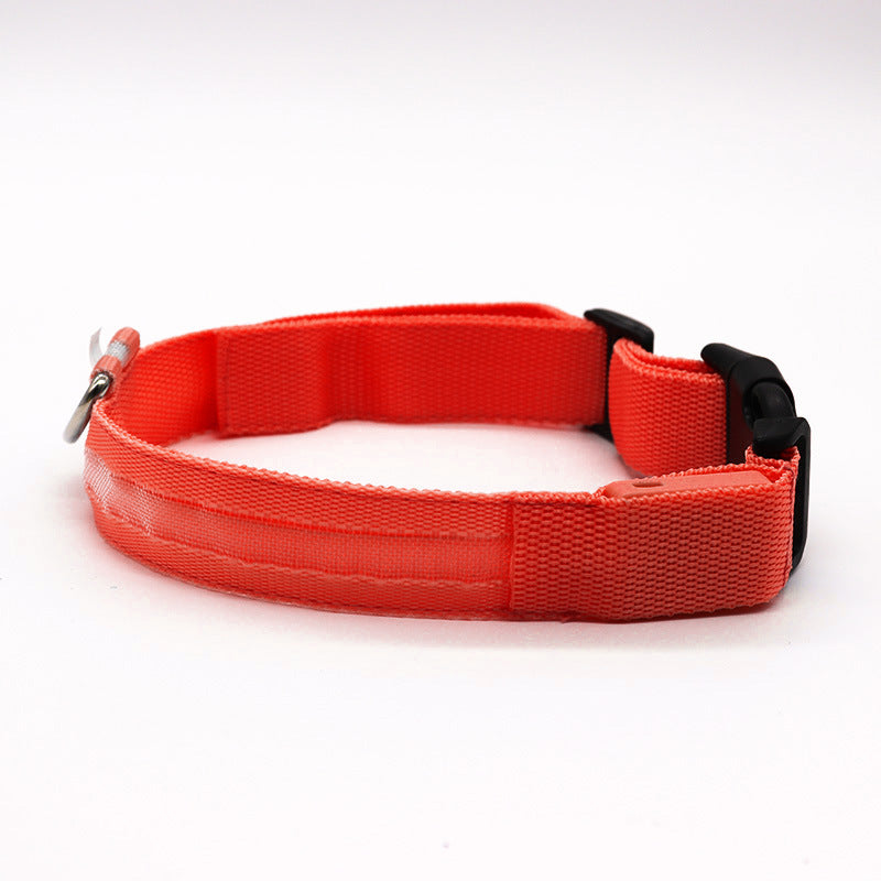 pet led collar