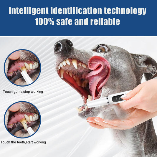 Pet ultrasonic dental scaler