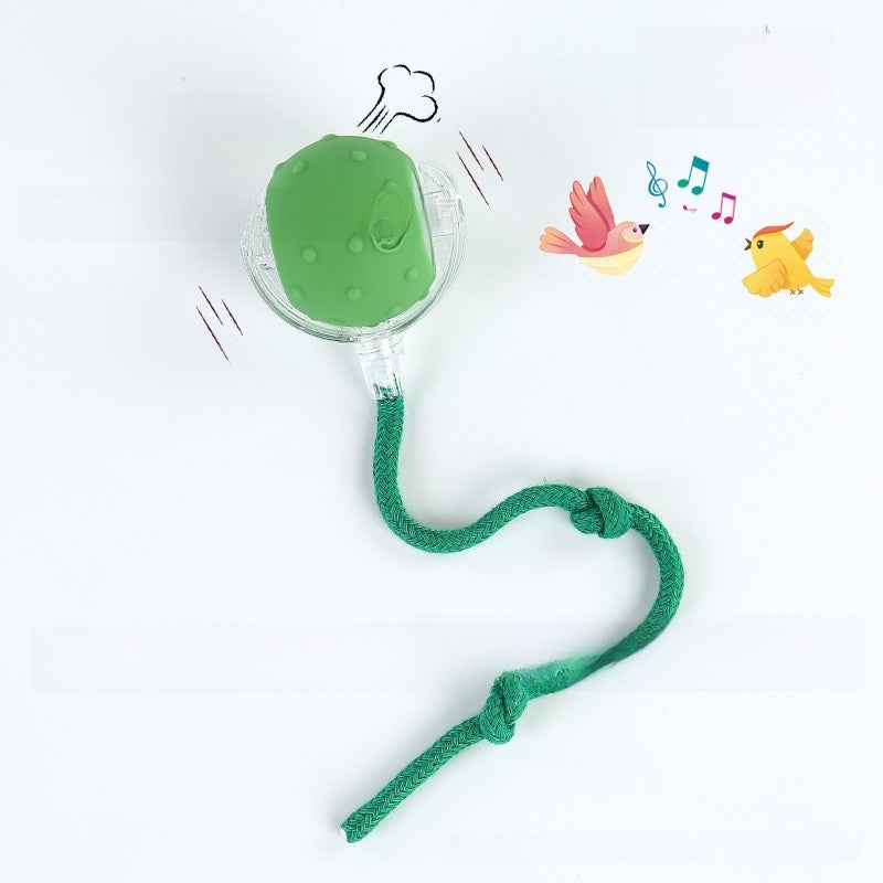 Bite-resistant Automatic Cat Toy