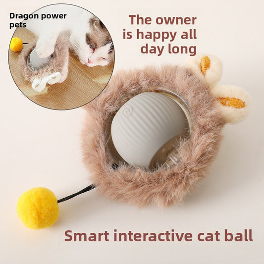 Electric Pet Toy