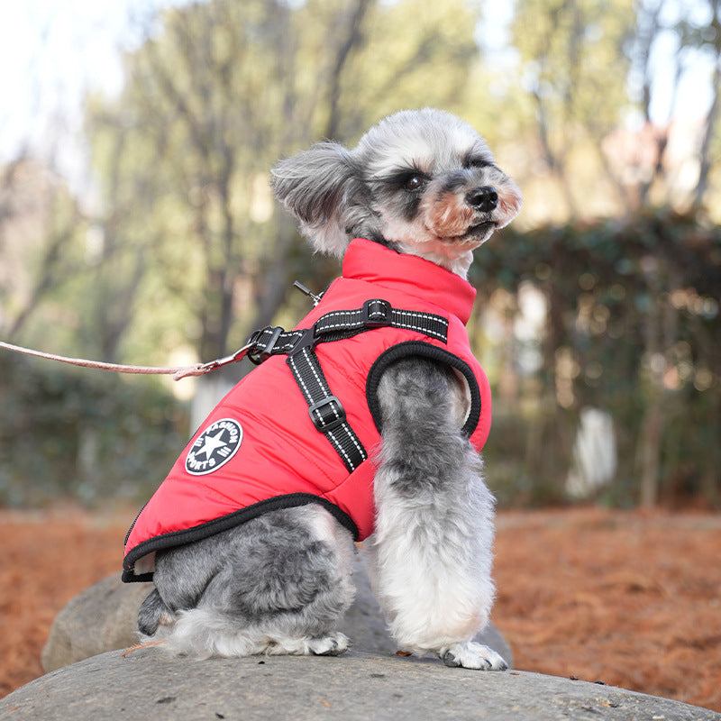 pet dog jacket