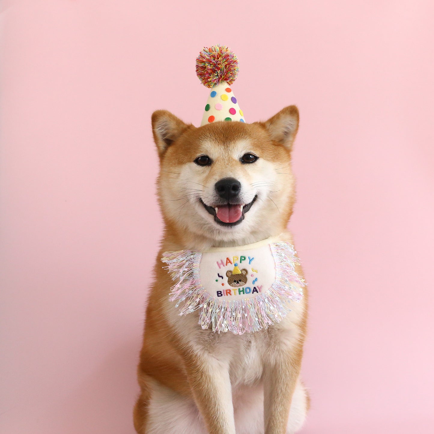 Pet Birthday Party Set Decoration