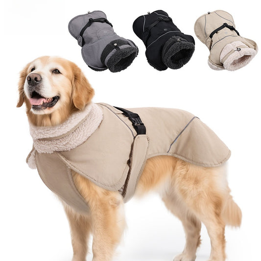 dog coat