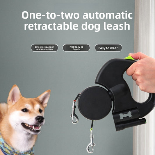 Dog leash with light