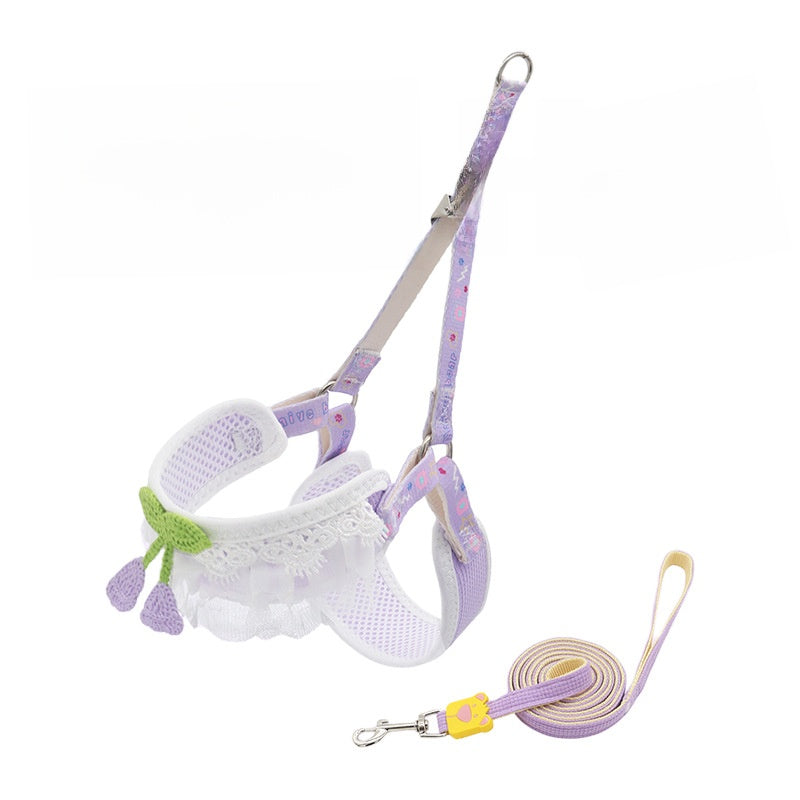 Dog leash for small dogs