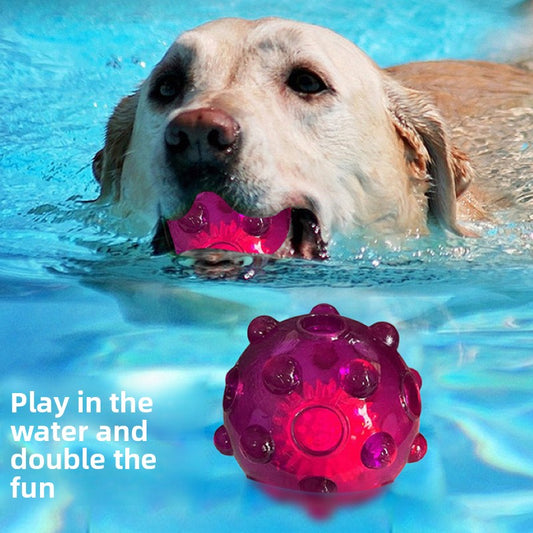 Pet interaction entertainment toys