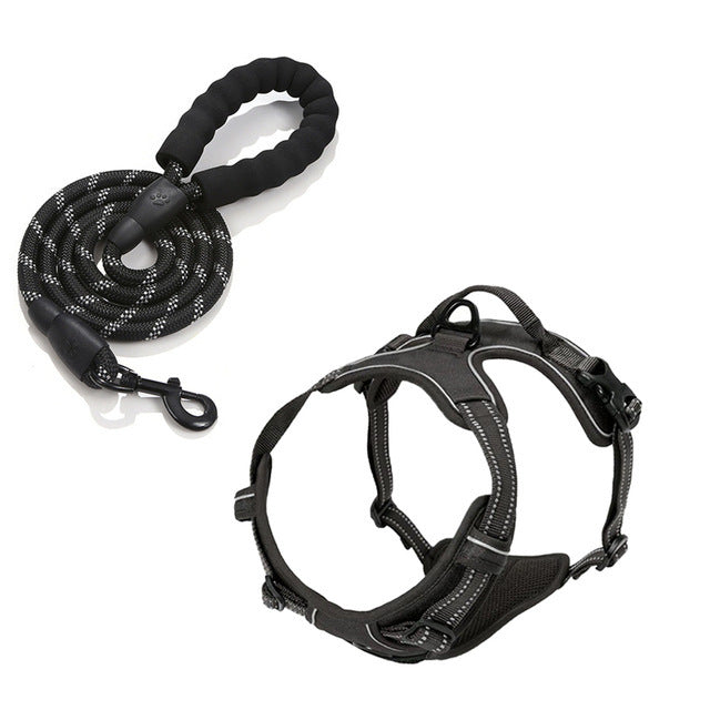 Pet Harness Leash