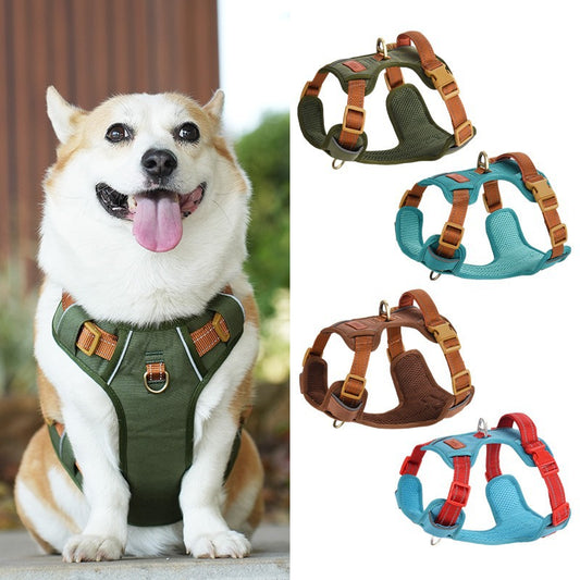 Pet chest and back harness