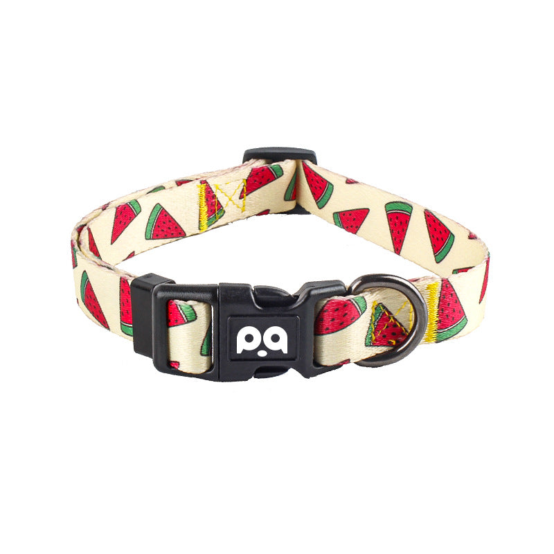 Pet dog collar chest and back leash